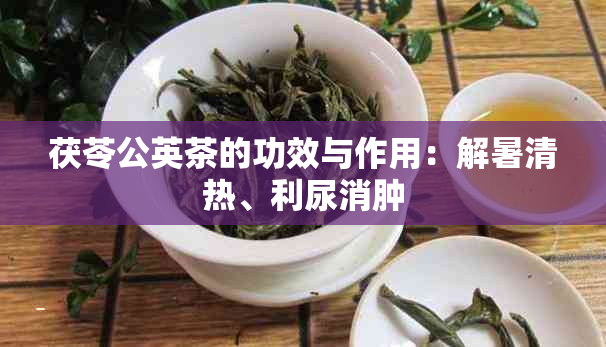 茯苓公英茶的功效与作用：解暑清热、利尿消肿