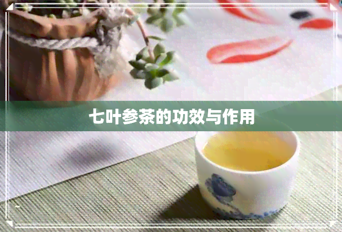 七叶参茶的功效与作用