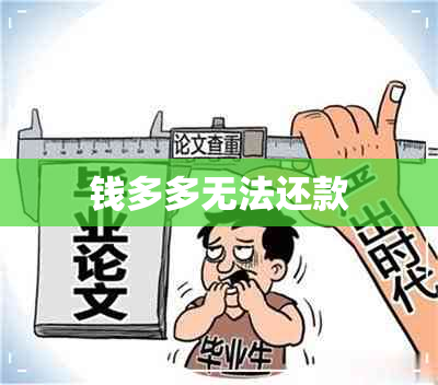 钱多多无法还款