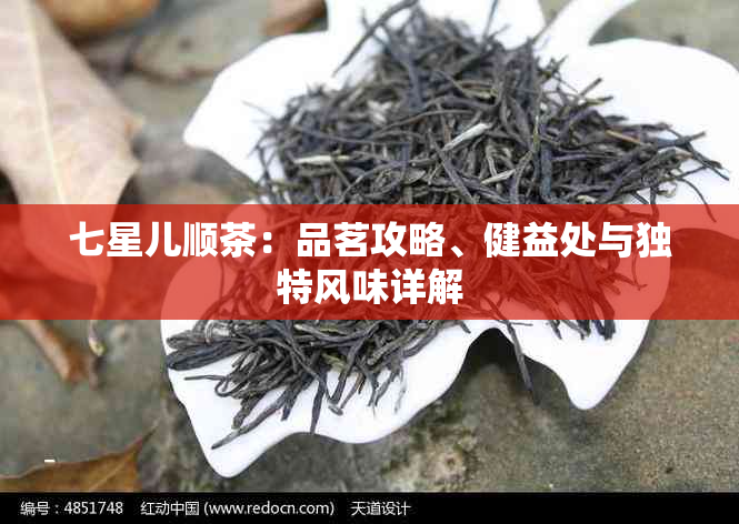 七星儿顺茶：品茗攻略、健益处与独特风味详解