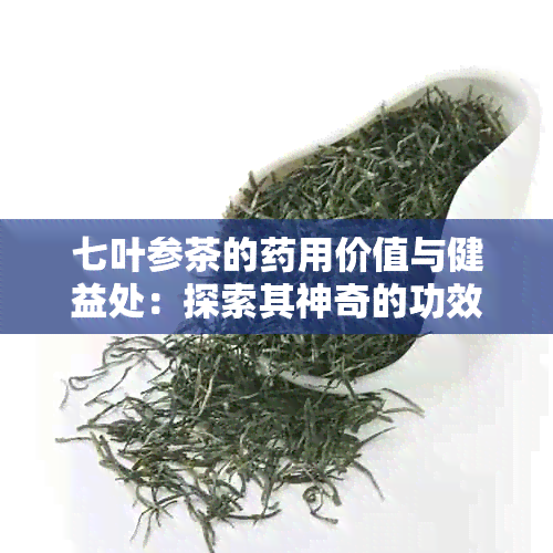 七叶参茶的用价值与健益处：探索其神奇的功效与作用