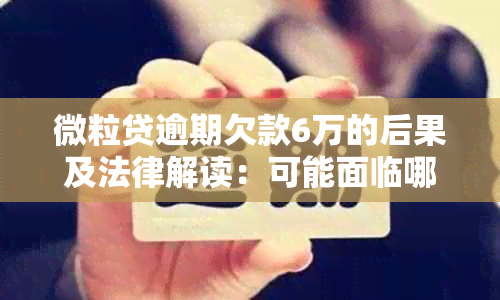 微粒贷逾期欠款6万的后果及法律解读：可能面临哪些刑事责任？