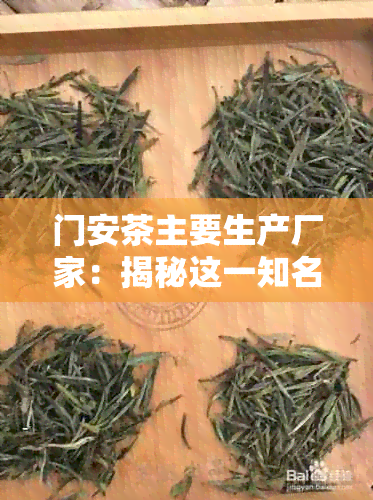 门安茶主要生产厂家：揭秘这一知名茶叶的起源与