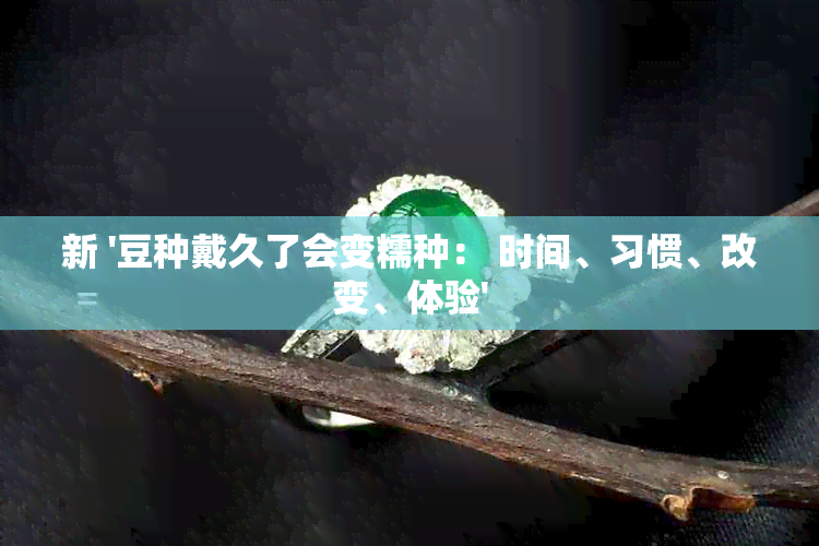 新 '豆种戴久了会变糯种： 时间、习惯、改变、体验'