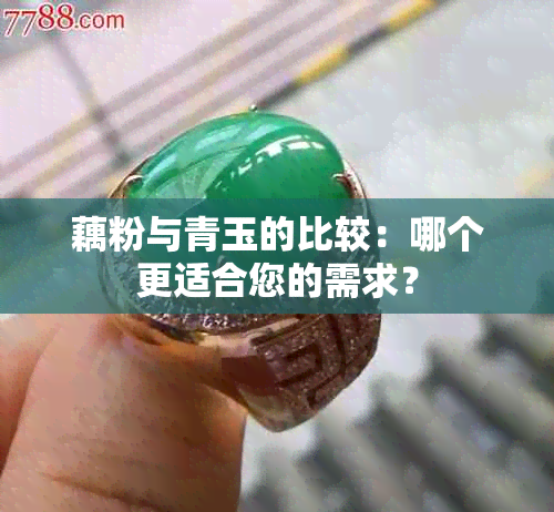 藕粉与青玉的比较：哪个更适合您的需求？