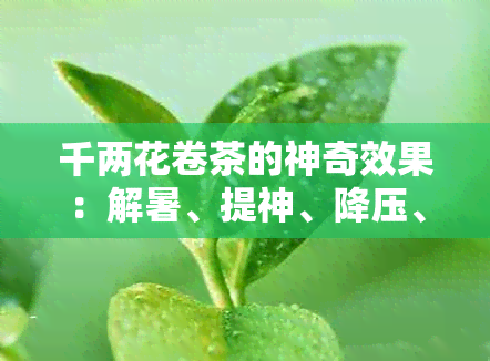 千两花卷茶的神奇效果：解暑、提神、降压、助消化等多效合一