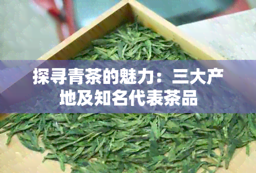 探寻青茶的魅力：三大产地及知名代表茶品