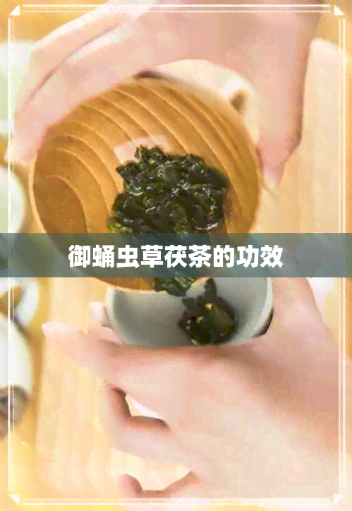 御蛹虫草茯茶的功效