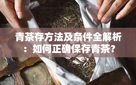 青茶存方法及条件全解析：如何正确保存青茶？