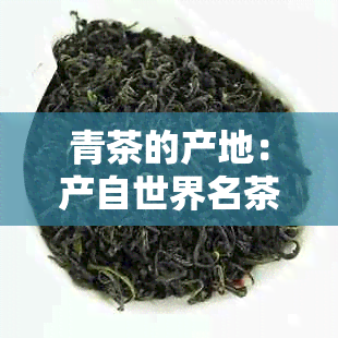 青茶的产地：产自世界名茶之乡的独特风味探讨