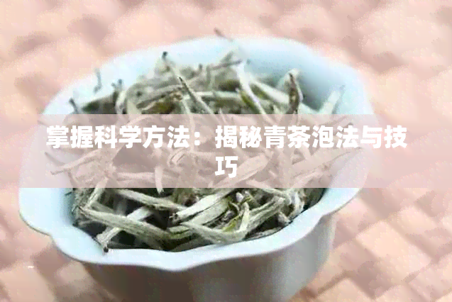 掌握科学方法：揭秘青茶泡法与技巧