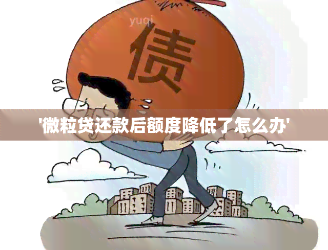 '微粒贷还款后额度降低了怎么办'