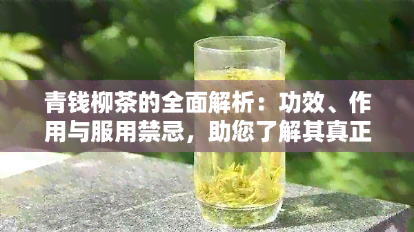 青钱柳茶的全面解析：功效、作用与服用禁忌，助您了解其真正的价值