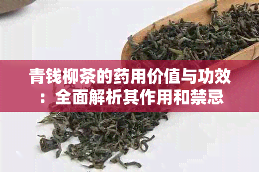 青钱柳茶的用价值与功效：全面解析其作用和禁忌