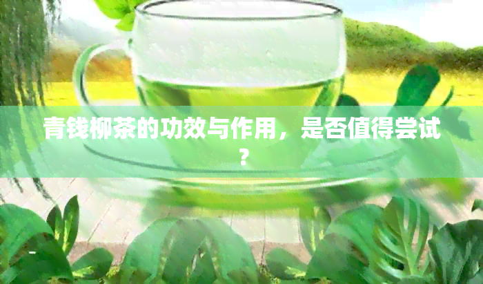 青钱柳茶的功效与作用，是否值得尝试？