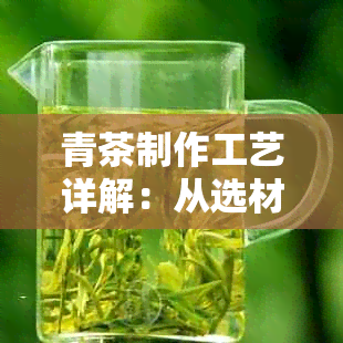 青茶制作工艺详解：从选材到冲泡的全方位指南