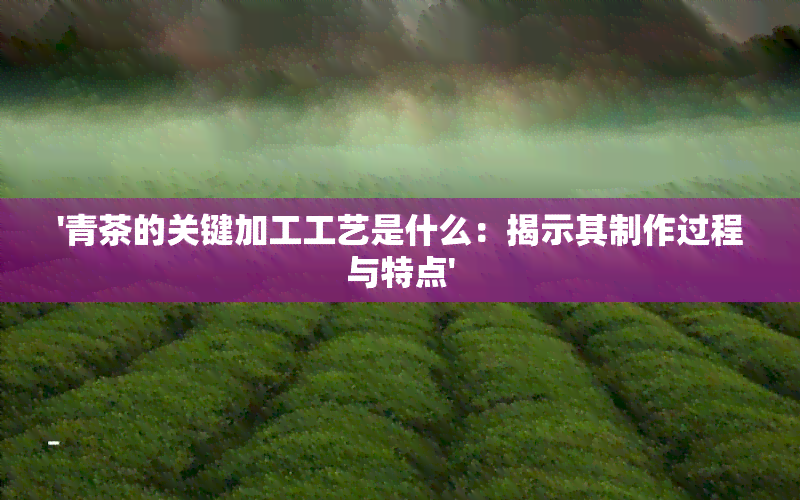 '青茶的关键加工工艺是什么：揭示其制作过程与特点'