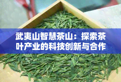 武夷山智慧茶山：探索茶叶产业的科技创新与合作机遇