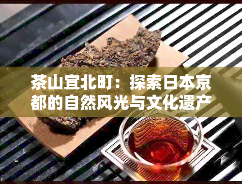 茶山宜北町：探索京都的自然风光与文化遗产