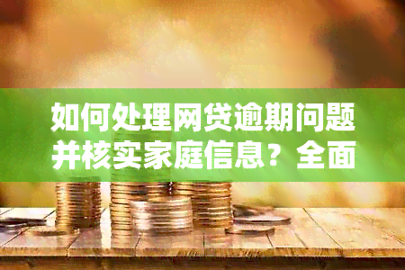 如何处理网贷逾期问题并核实家庭信息？全面解决方案一览