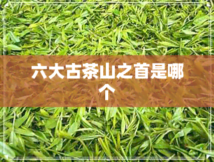 六大古茶山之首是哪个