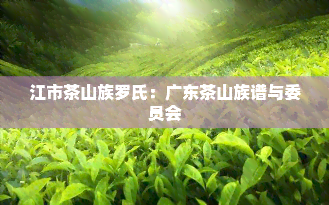 江市茶山族罗氏：广东茶山族谱与委员会