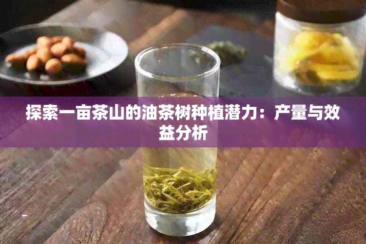 探索一亩茶山的油茶树种植潜力：产量与效益分析