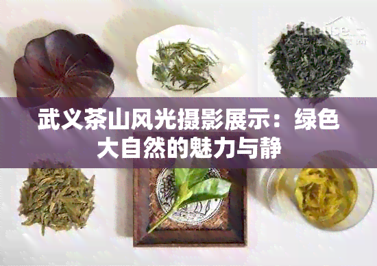 武义茶山风光摄影展示：绿色大自然的魅力与静