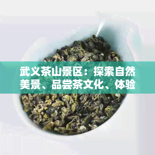 武义茶山景区：探索自然美景、品尝茶文化、体验当地生活的全方位指南