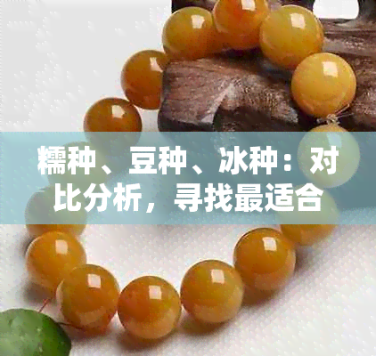 糯种、豆种、冰种：对比分析，寻找最适合的种植品种