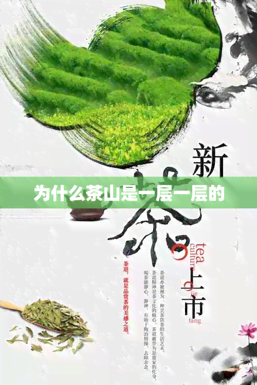 为什么茶山是一层一层的