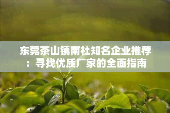 东莞茶山镇南社知名企业推荐：寻找优质厂家的全面指南