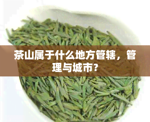 茶山属于什么地方管辖，管理与城市？