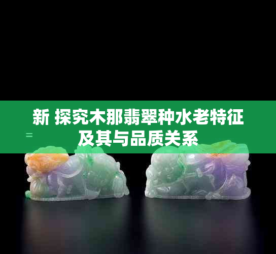 新 探究木那翡翠种水老特征及其与品质关系