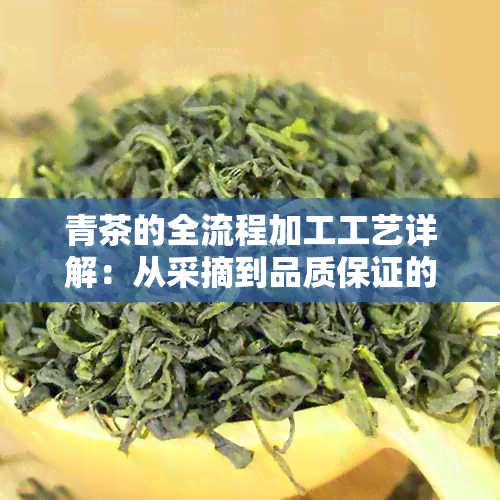 青茶的全流程加工工艺详解：从采摘到品质保证的全方位解析