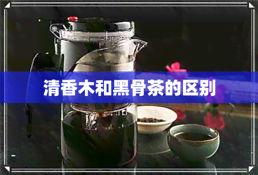 清香木和黑骨茶的区别