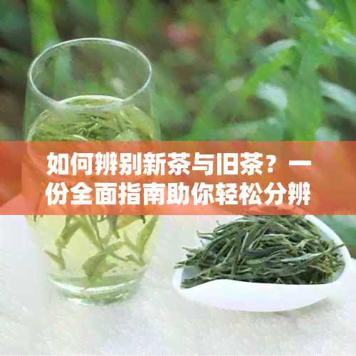 如何辨别新茶与旧茶？一份全面指南助你轻松分辨！