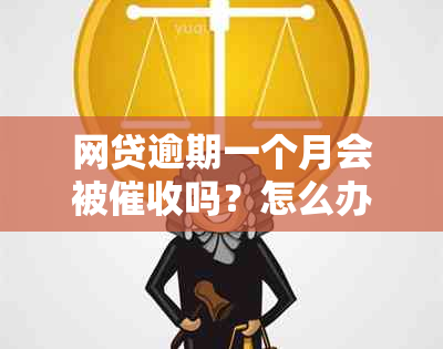 网贷逾期一个月会被吗？怎么办？会起诉吗？