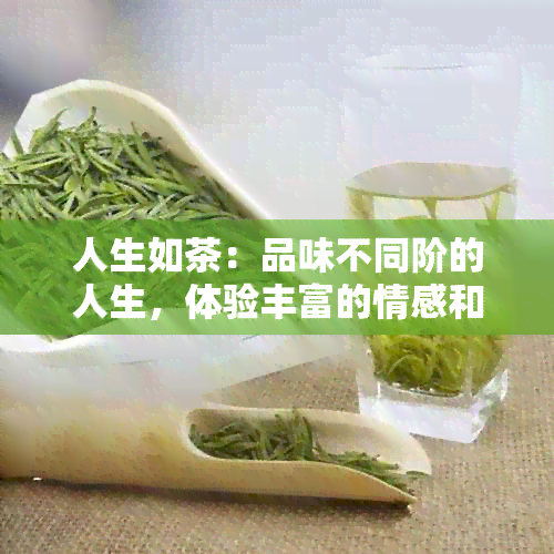 人生如茶：品味不同阶的人生，体验丰富的情感和哲理