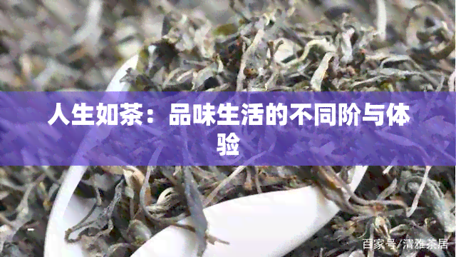 人生如茶：品味生活的不同阶与体验