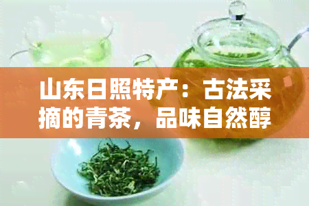 山东日照特产：古法采摘的青茶，品味自然醇厚，感受绿色生活