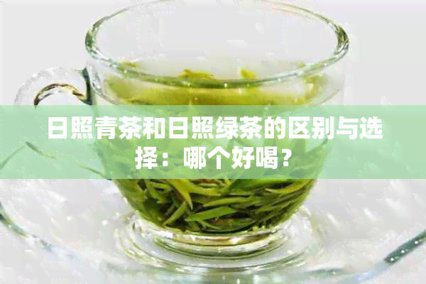 日照青茶和日照绿茶的区别与选择：哪个好喝？