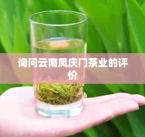 询问云南凤庆门茶业的评价