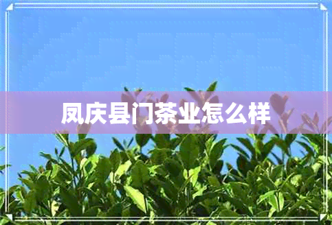 凤庆县门茶业怎么样