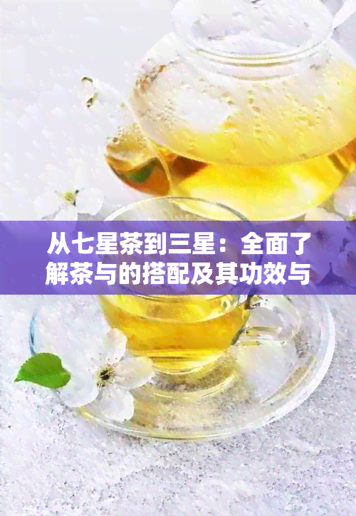 从七星茶到三星：全面了解茶与的搭配及其功效与应用