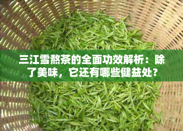 三江雪熬茶的全面功效解析：除了美味，它还有哪些健益处？