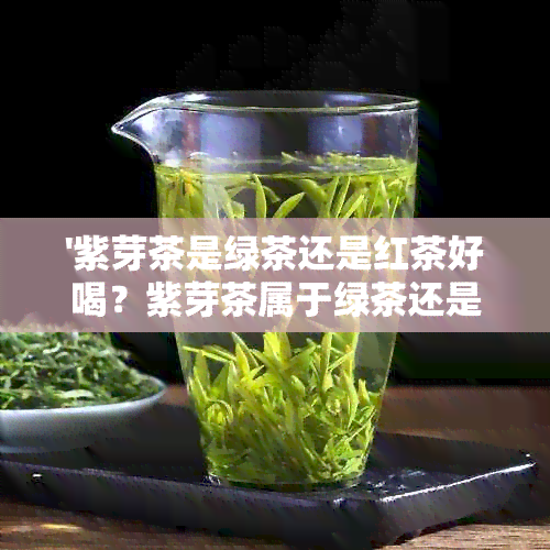 '紫芽茶是绿茶还是红茶好喝？紫芽茶属于绿茶还是红茶？'