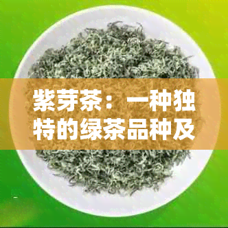 紫芽茶：一种独特的绿茶品种及其与其他绿茶的区别