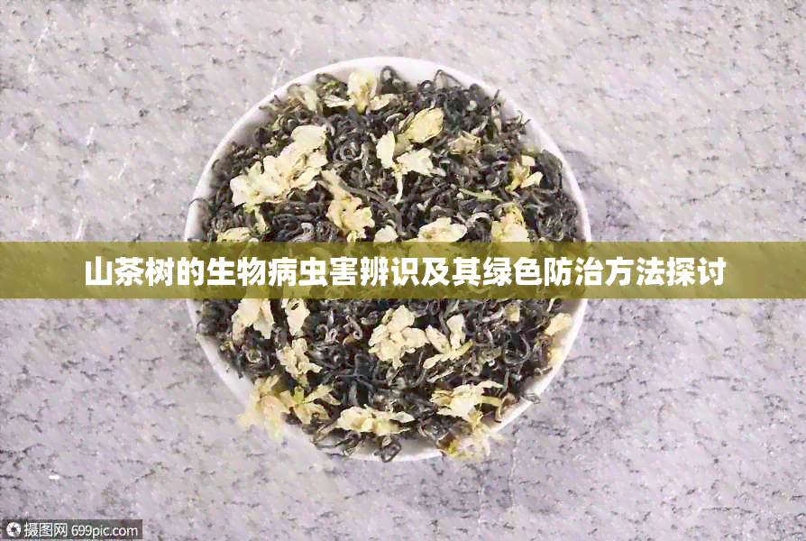 山茶树的生物病虫害辨识及其绿色防治方法探讨