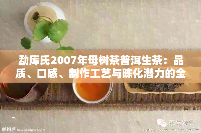 勐库氏2007年母树茶普洱生茶：品质、口感、制作工艺与陈化潜力的全面解析